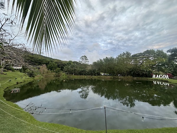 Bacoa Finca + Fogón 2