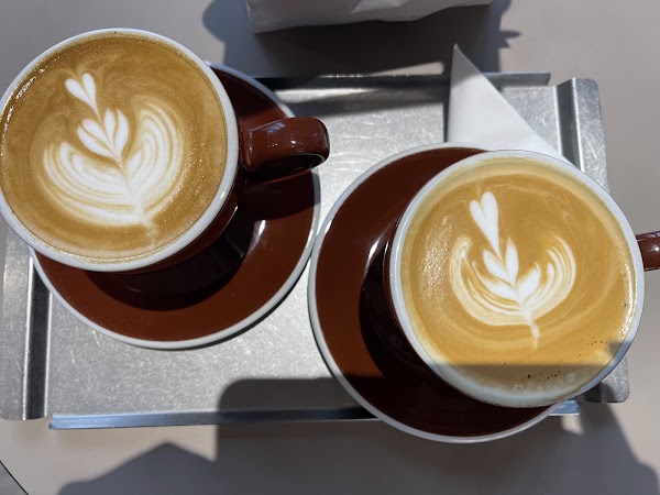 Tailor Coffee 서촌 경복궁점 5