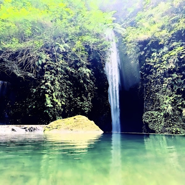 Goa Raja Waterfall 1
