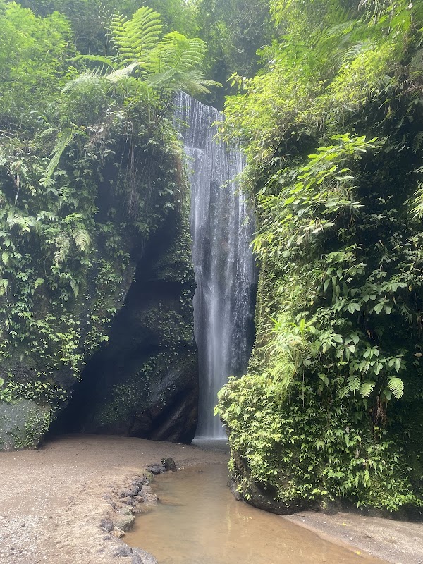 Goa Raja Waterfall 4