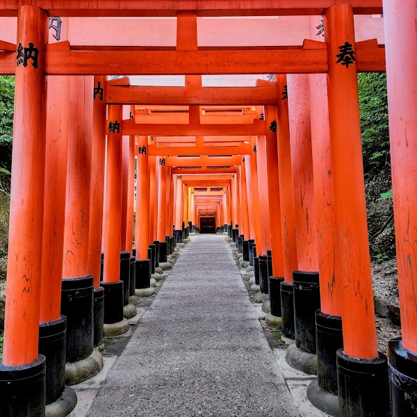 Senbon Torii (Thousand Torii Gates) 1