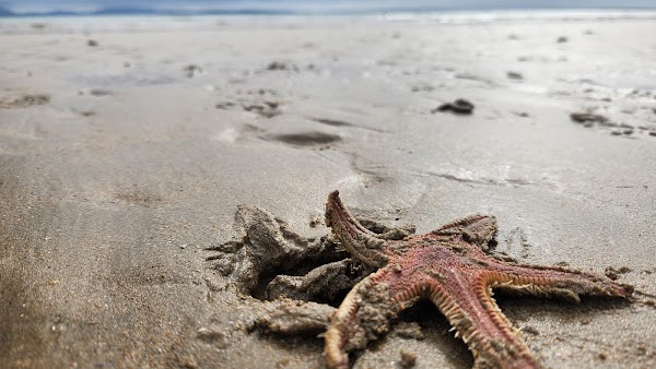 Claggan Bay Beach 2