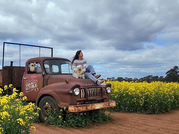 Cornella Canola Walk 5