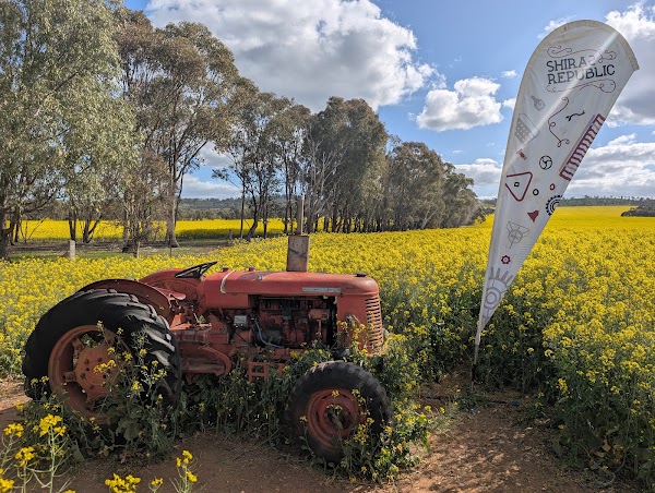 Cornella Canola Walk 4