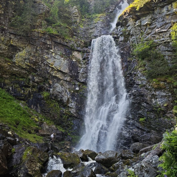 Fettjeåfallet