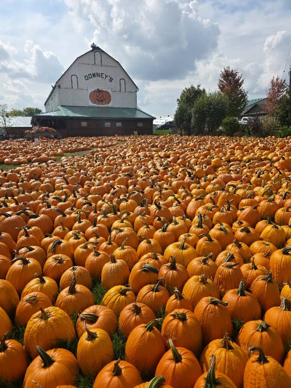 Downey's Farm Market