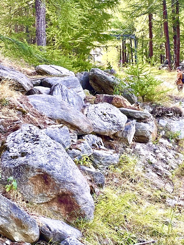 Marmot Playground 3