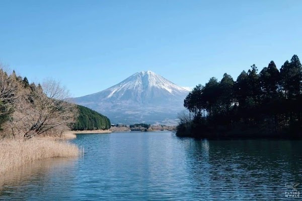 Fujinomiya 4