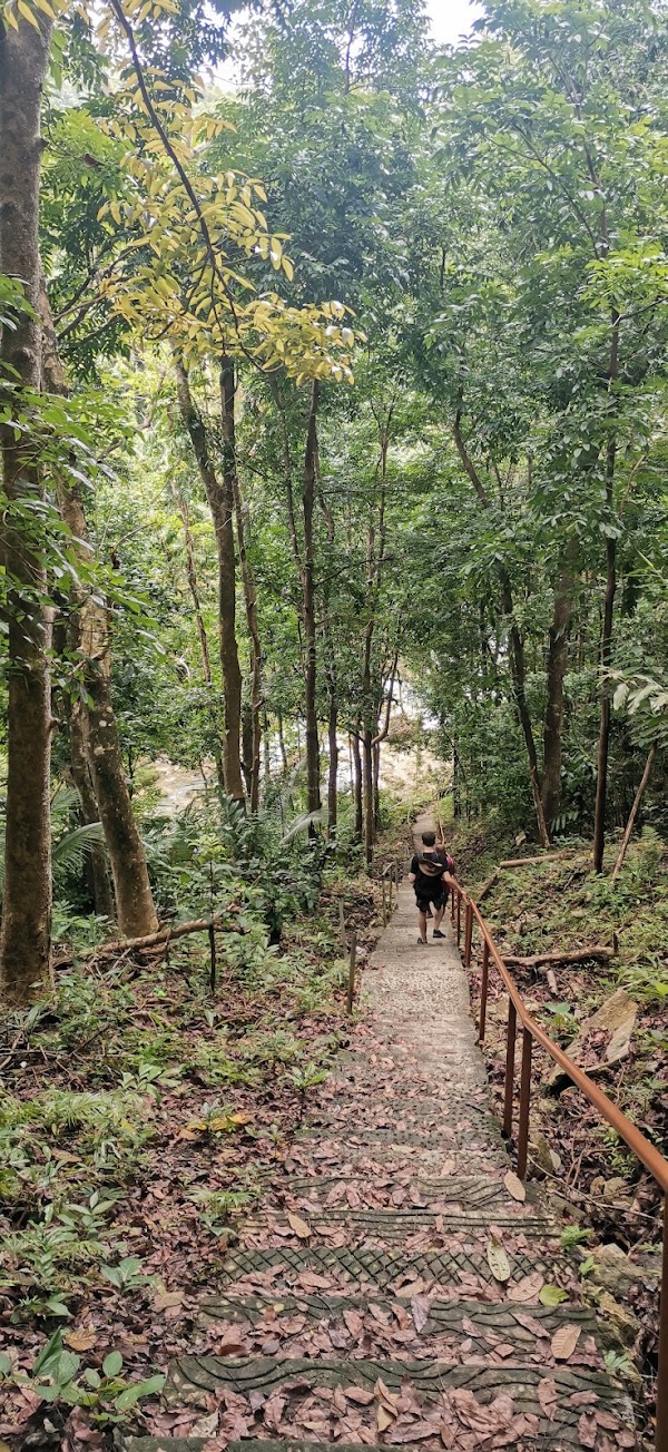 Pahangog Falls 3
