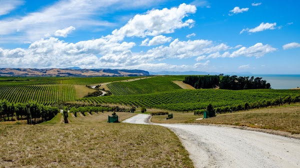Yealands Estate Winery