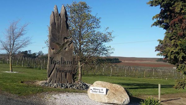 Yealands Estate Winery 4