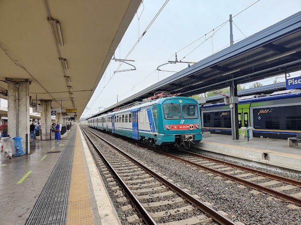 Pisa Centrale 5