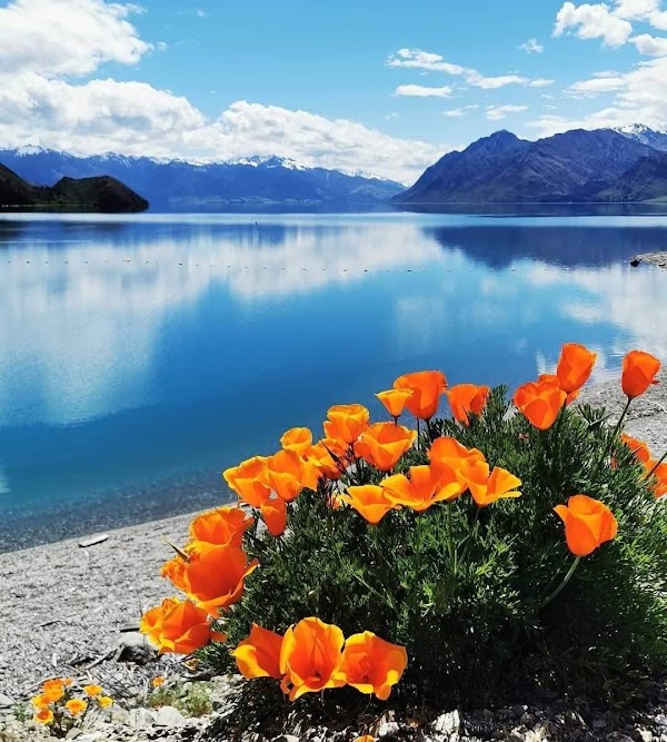 Lake Hāwea 4