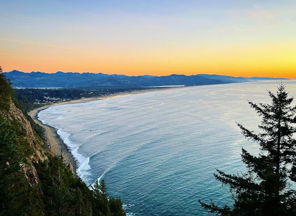 California 35