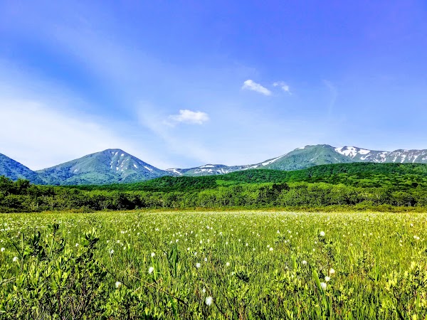 田代平湿原 1
