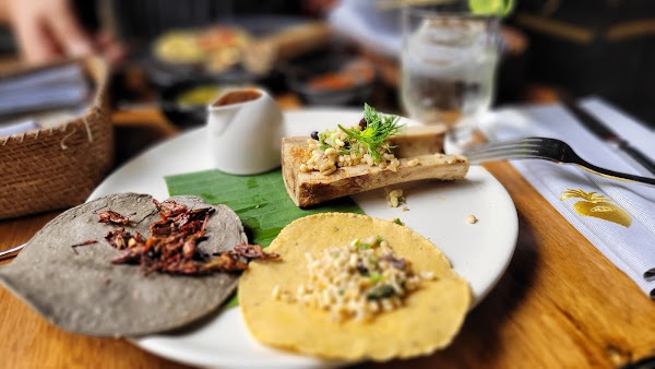 Corazón de Maguey 2