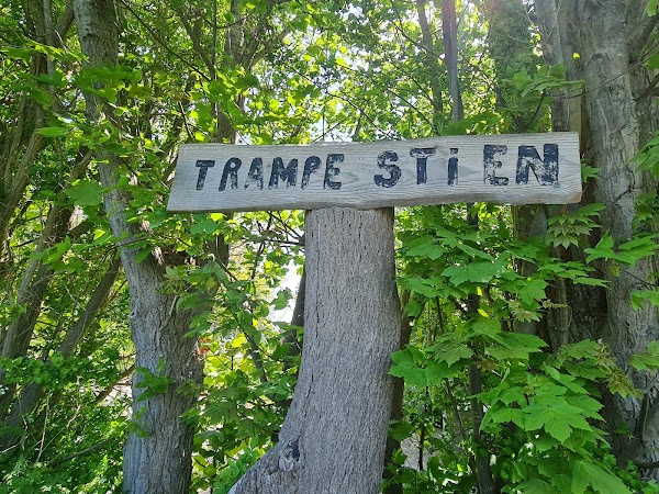 Stevns Klint Trampesti