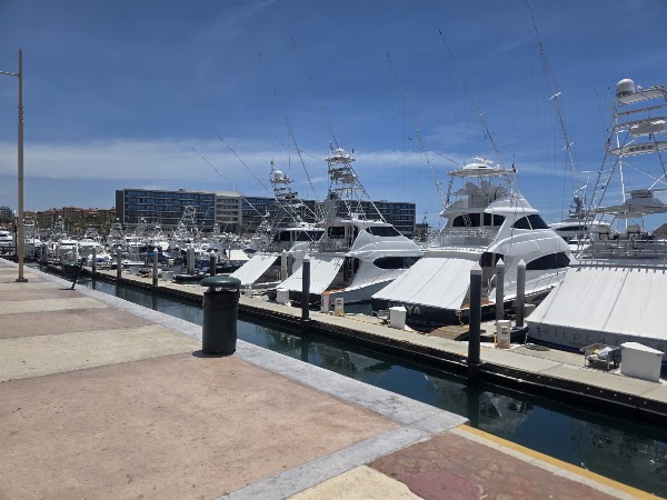 Cabo san lucas 2