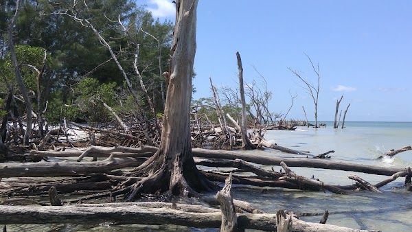 Whitney Beach