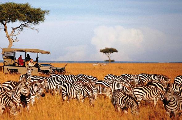 Mara North Conservancy
