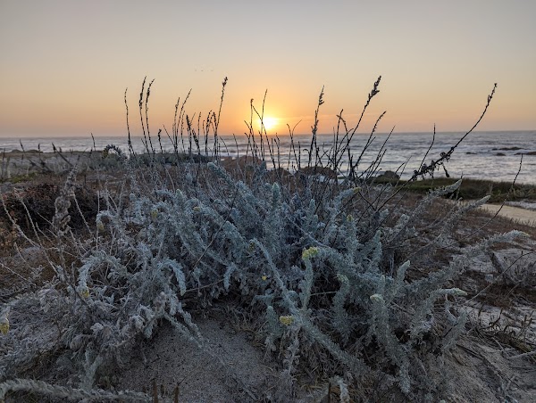Sunset Beach 3