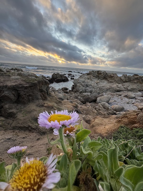 Sunset Beach 2