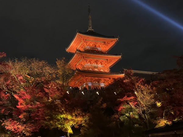 Kiyomizu-dera, Sanjunoto Pagoda 5