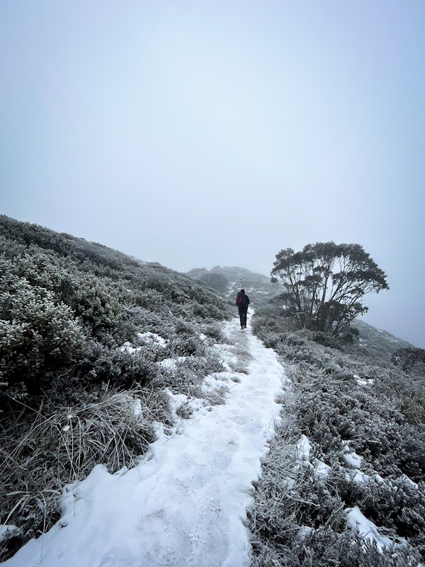 Mount Feathertop 4