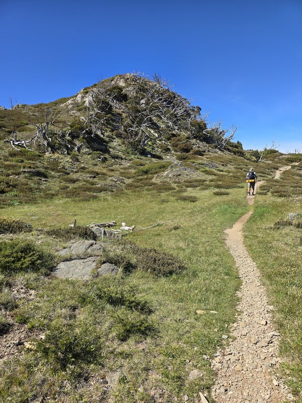 Mount Feathertop 3