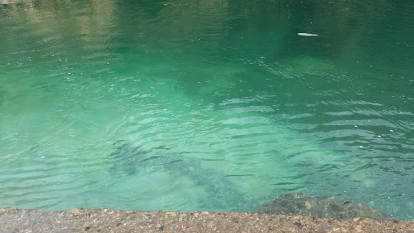 Coston Beach 2