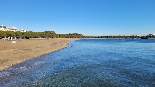 Marine Park 5