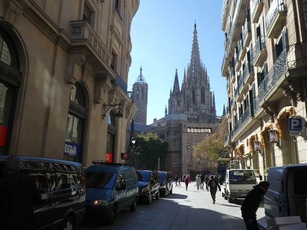 BCN 15