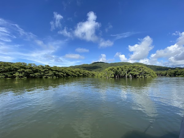 Iriomote-jima 3