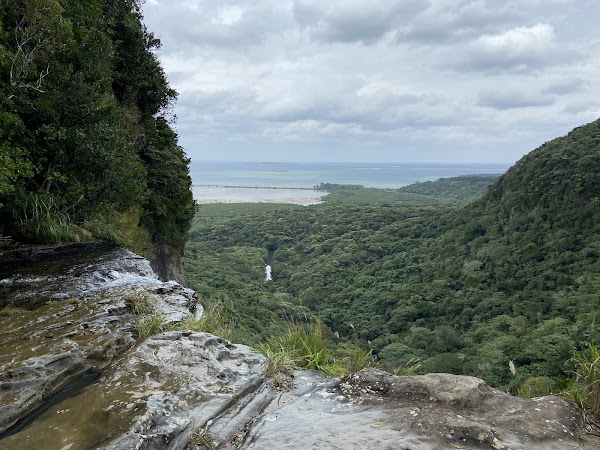 Iriomote-jima 2