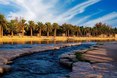 Riyadh 18