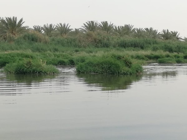 Wadi Hanifah 4