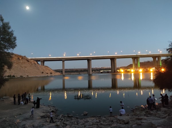 Wadi Hanifah 2