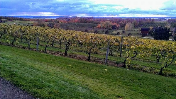 Peninsula Township