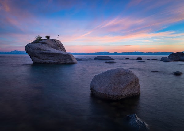 Bonsai Rock