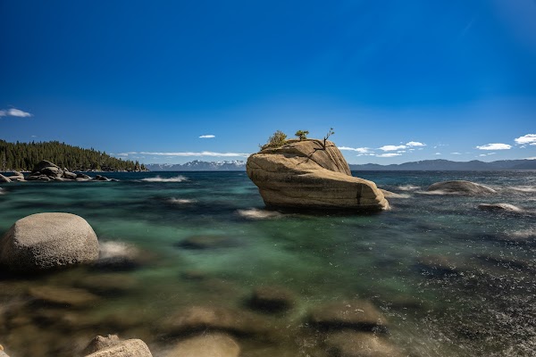 Bonsai Rock 3