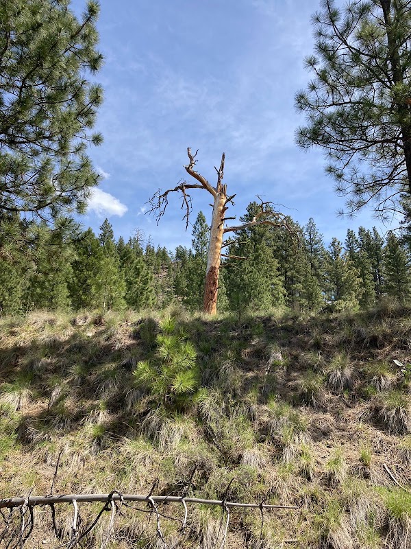 Kettle Valley Rail Trail 4