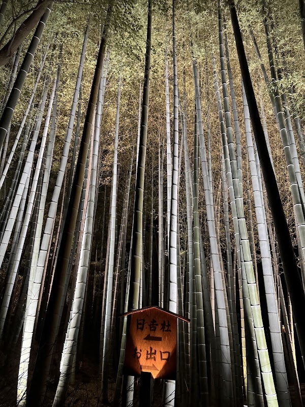 Shōrenin Temple 2