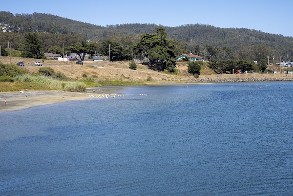 Pillar Point Harbor 1