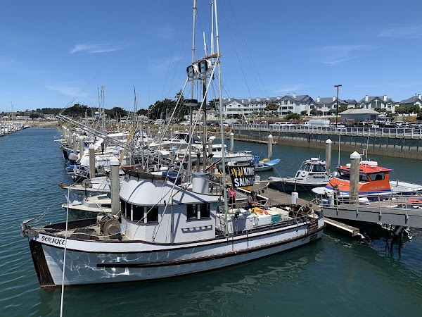 Pillar Point Harbor 3