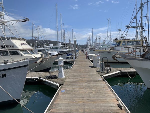 Pillar Point Harbor 2