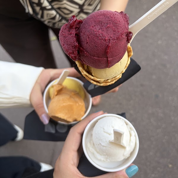 LOULOU MONSIEUR GLACE - MALMOUSQUE 4