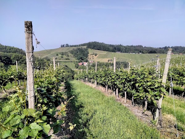 Sasbachwalden 5