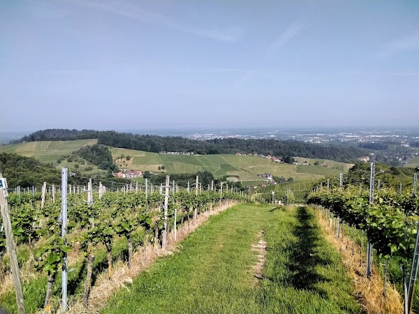 Sasbachwalden 4