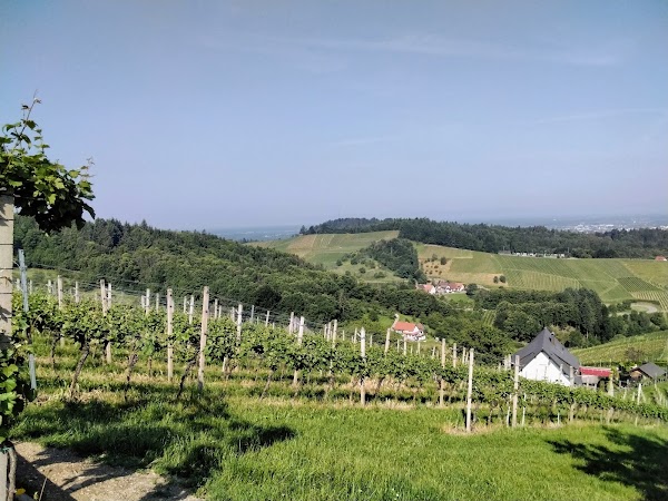 Sasbachwalden 3