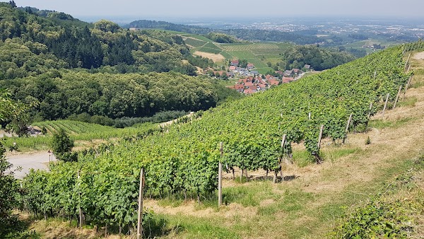 Sasbachwalden 2
